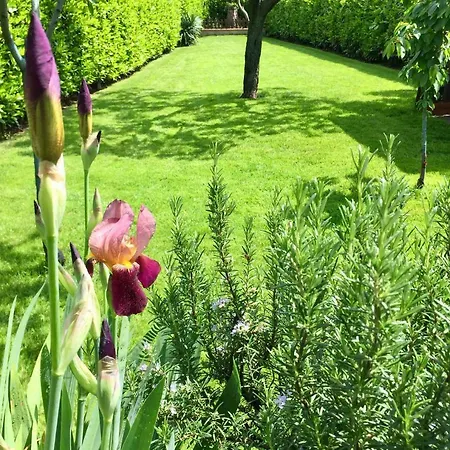 Vakantiehuis 
